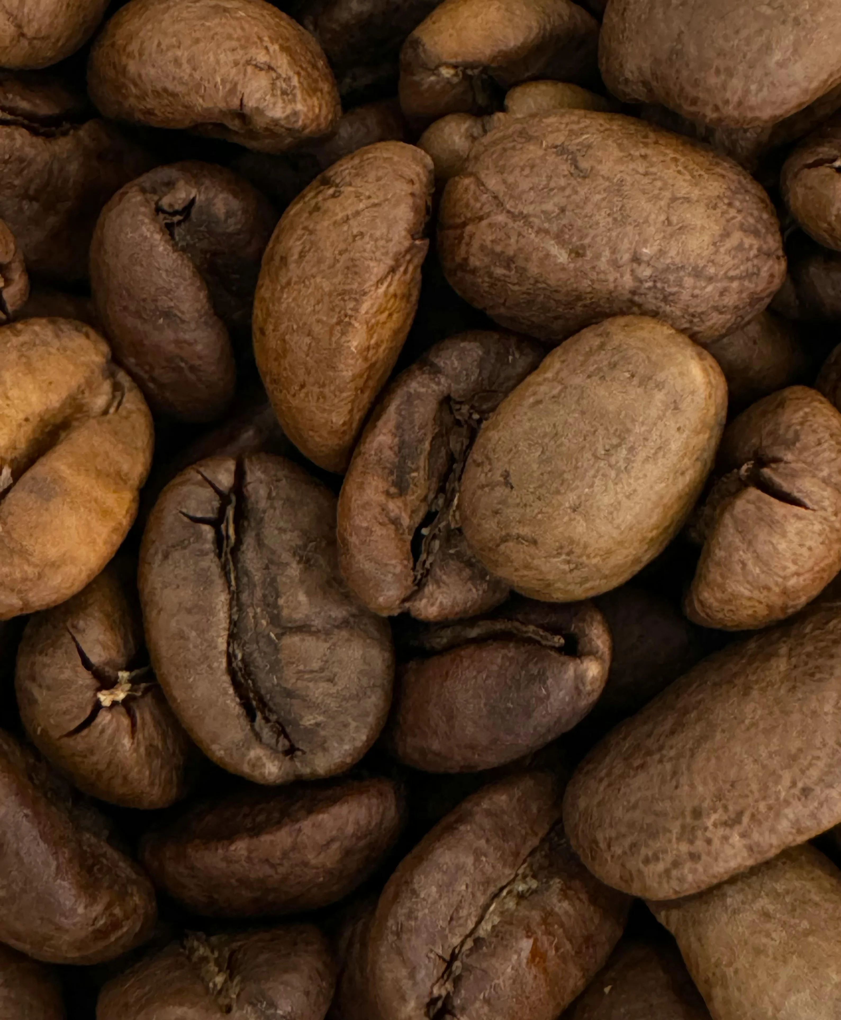 Filter
Coffee